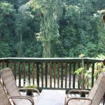 Rejse til Sumatra, terasse med jungle udblik